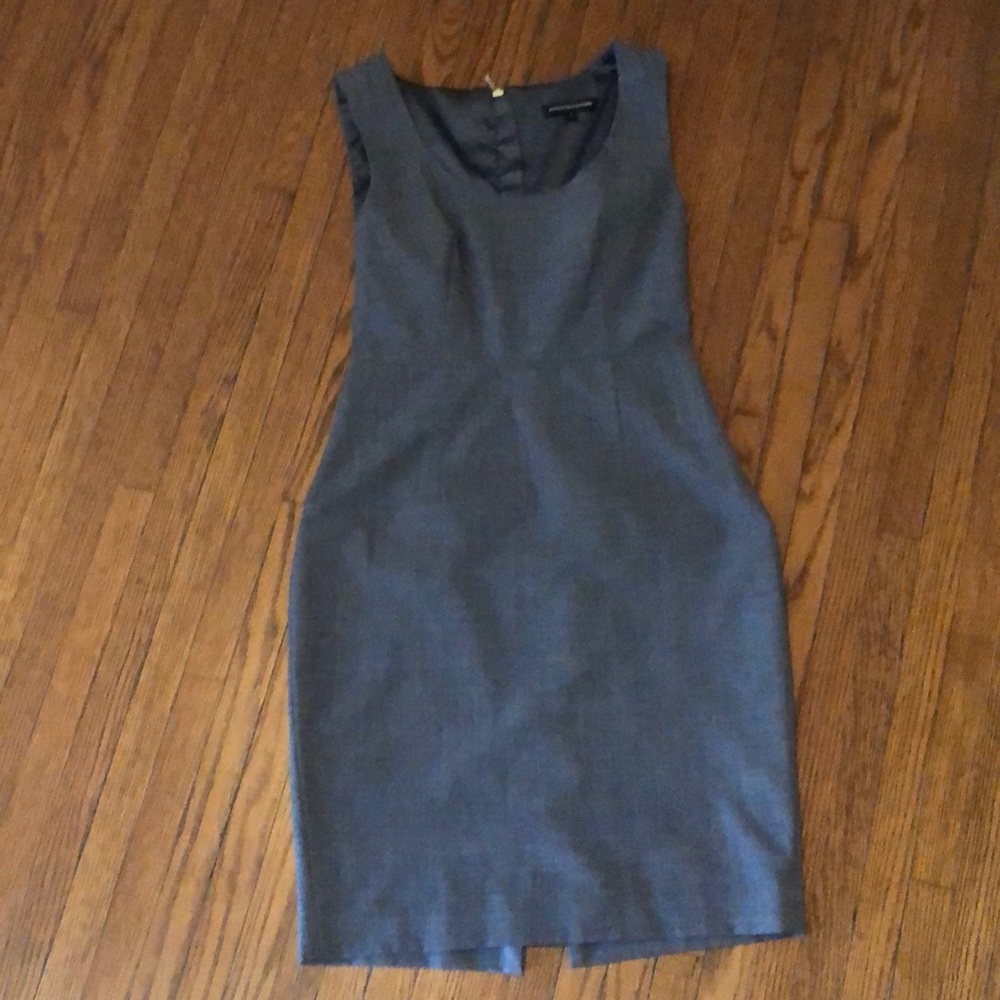 Express Shift Dress